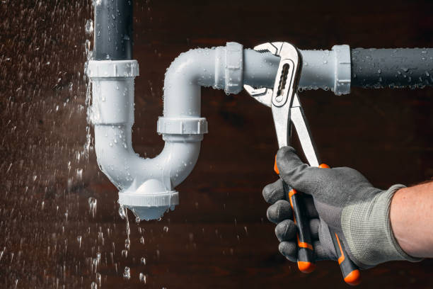 Professional Plumbing technician working in Century, FL